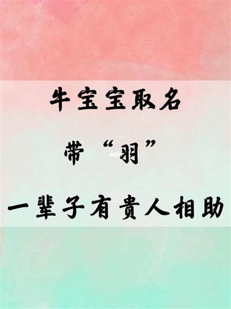 羽的名字|羽字的名字寓意是什么意思 羽字的意思